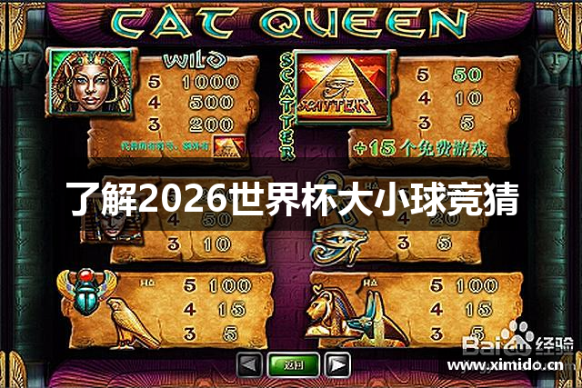 了解2026世界杯大小球竞猜